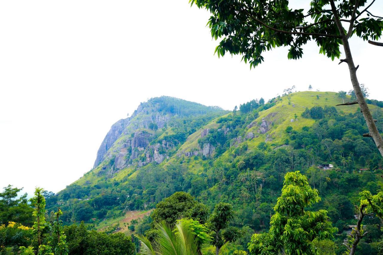 Ella Country House Luaran gambar